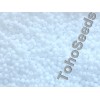 11/0 Toho Opaque White 11-41 (10g)